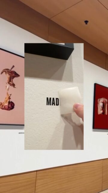 Großes Theater – auch in der Produktion. 🎭
Dieses Jahr durfte ich die Ausstellung zur aktuellen Kampagne des @landestheaterlinz produzieren – und zwar mit allem, was dazugehört: großformatige Prints, präzise Beschriftungen und natürlich ganz viel Liebe zum Detail. 🤩  Die beeindruckenden Fotografien stammen von @nessrubey, die die gesamte Kampagne konzipiert und künstlerisch umgesetzt hat. Es war mir eine große Freude, Ness bei diesem Projekt produktionstechnisch begleiten zu dürfen und gemeinsam das Beste aus jedem Motiv herauszuholen. 💪  Danke auch an Philip Brunnader und das gesamte Team vom Landestheater für die tolle Zusammenarbeit und das Vertrauen!  Du hast Ideen und suchst jemanden, der dich bei deren Umsetzung technisch unterstützt? Sag einfach Bescheid – ich bin dabei. 💪  #PrintWithPassion #Druckproduktion #LandestheaterLinz #Großformatdruck #Ausstellung #Druckpartner #Printqualität #PersönlicherPrintproducer